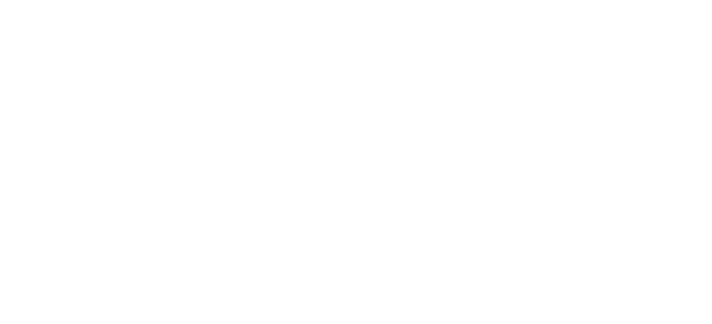 Dream Job Company